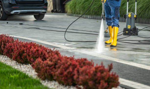 Best Playground Equipment Cleaning  in Lford, MI